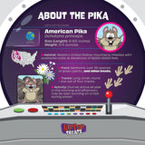 UpTop Peach Bursts - Freeze Dried Candy - (1oz) 4 Pack